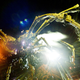 Illustration for article titled La Machine Mechanical Spider: Kill It With Fire!
